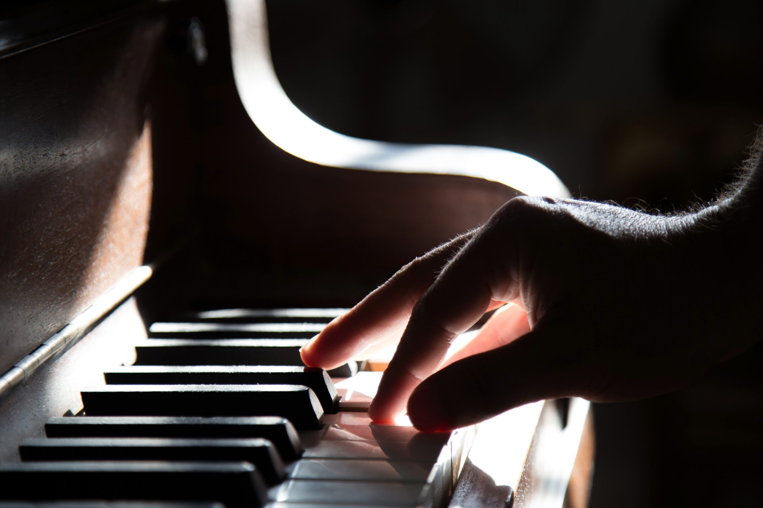 Tadas Mikuckis, photo: Royalty free from Unsplash