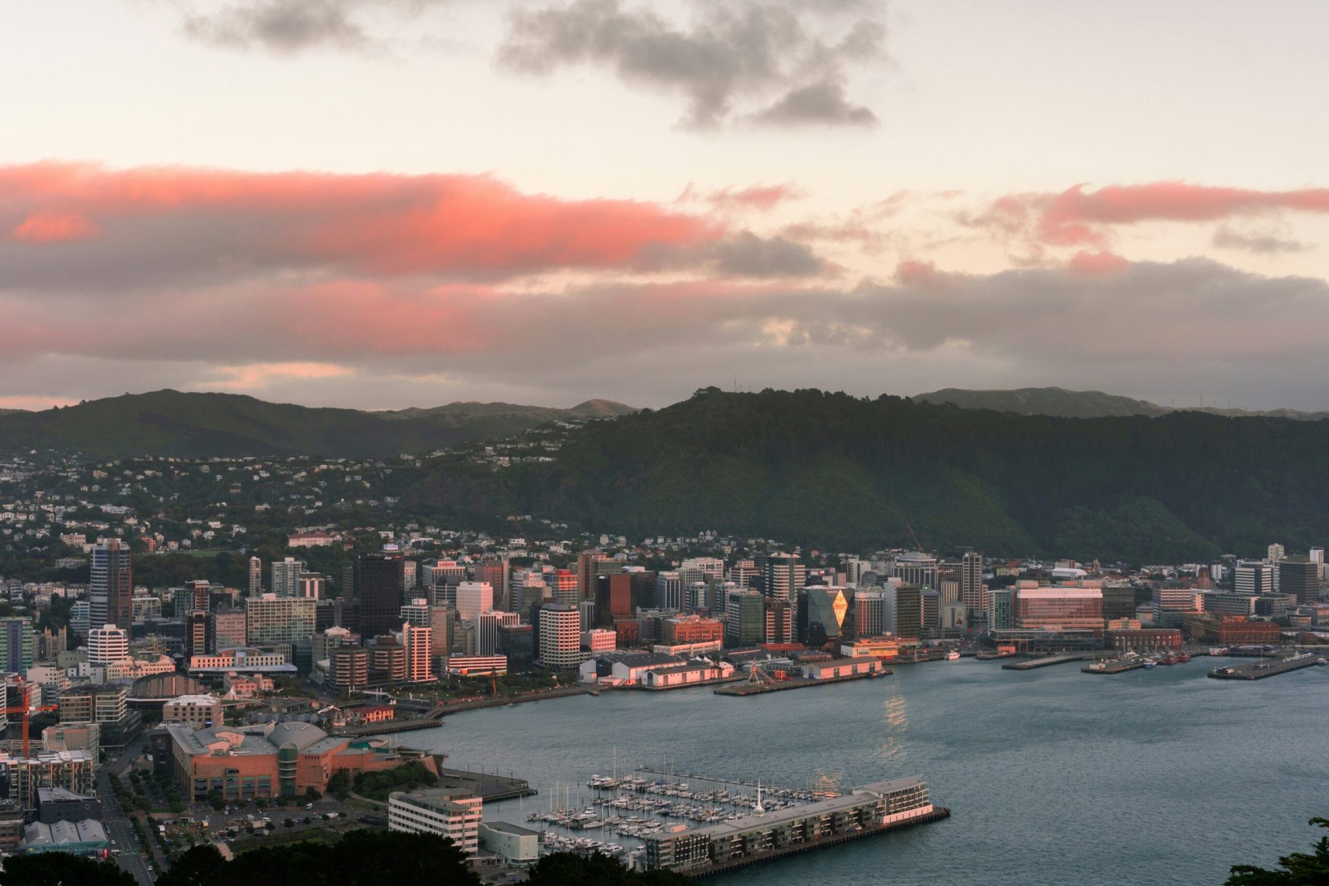 Wellington, photo: Sulthan Auliya on unsplash